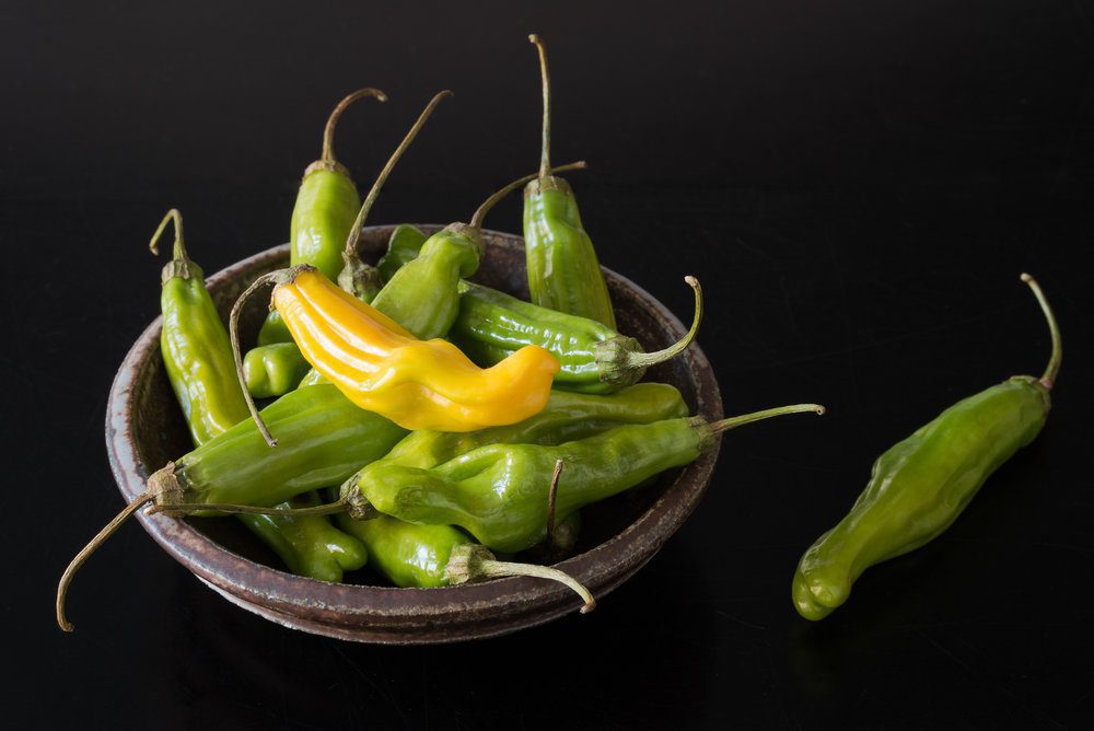 “Pretty Pickles” Great Pick for Next Picnic or Outdoor Affair
