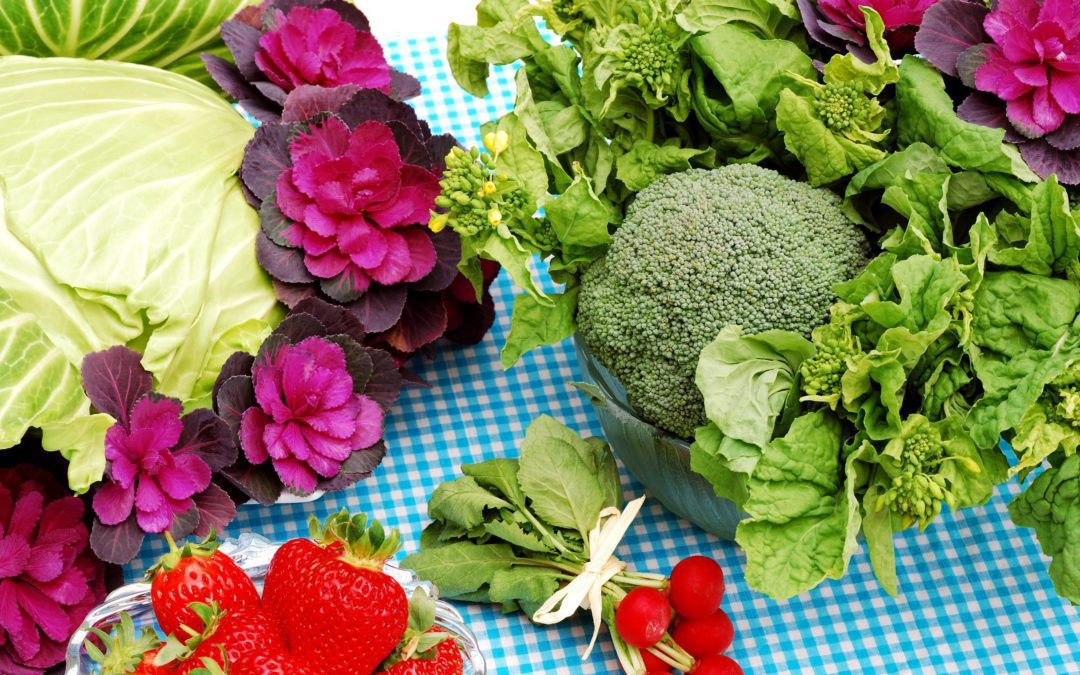 Woo-hoo! Watauga Farmers Market to Reopen May 5th!