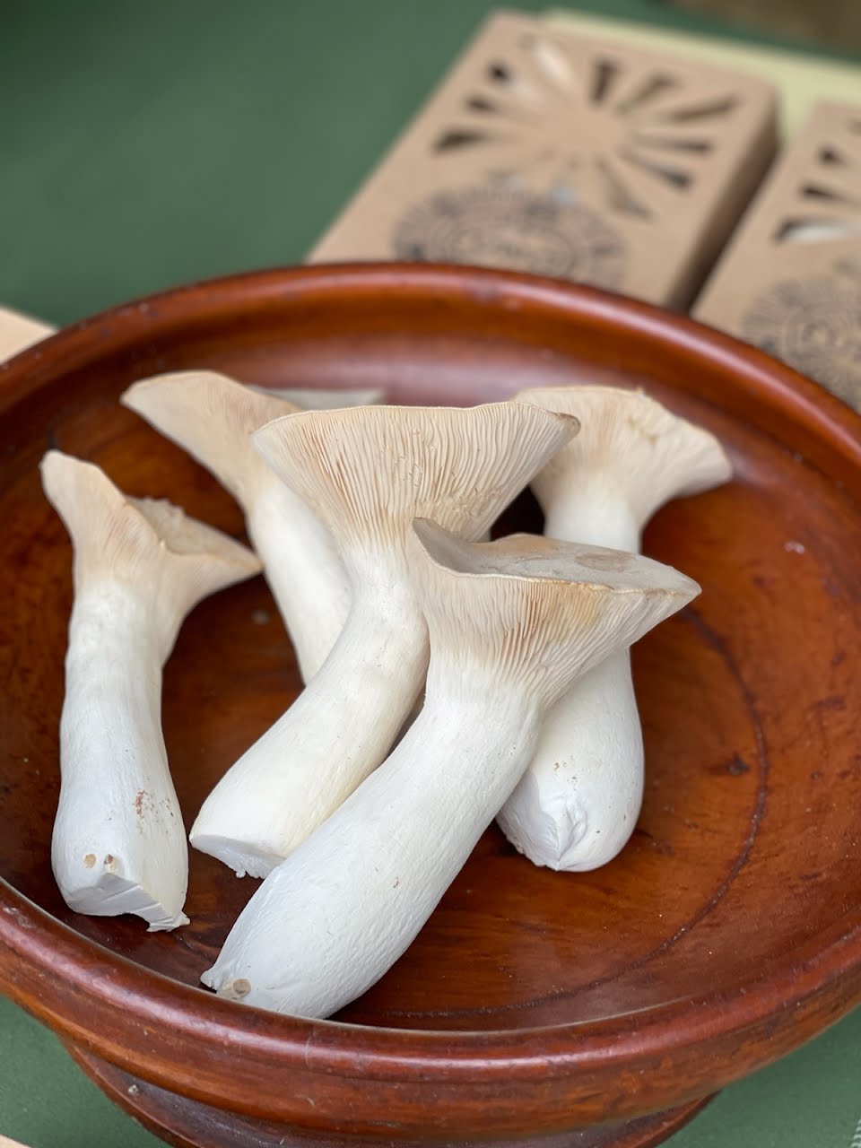 meals with mushrooms